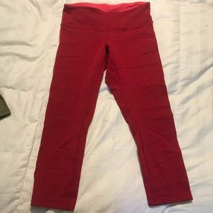 Lulu red wonder crops